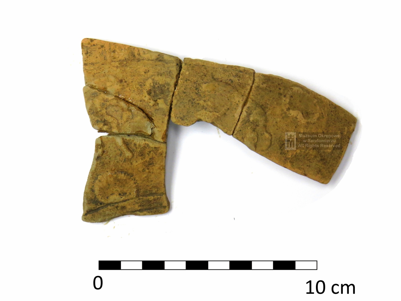 Foto 01: Fragment naczynia terra sigillata. MS-1658/1/a. Fot. P. Werens.